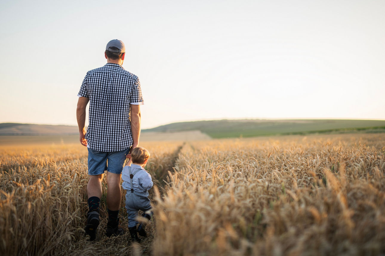 Ein Vater spaziert mit seinem kleinen Sohn über ein Feld