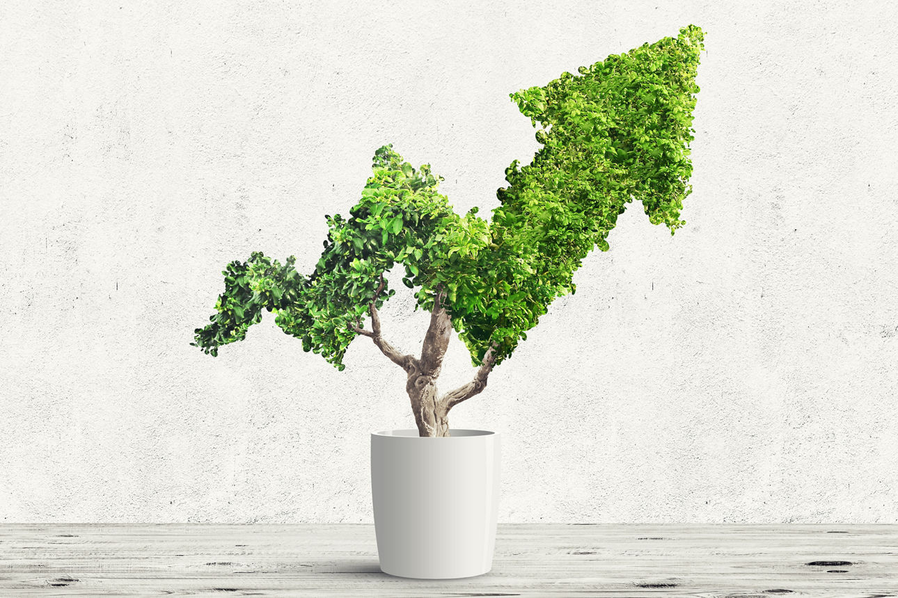 Grüner Pfeil wächst aus einem Blumentopf