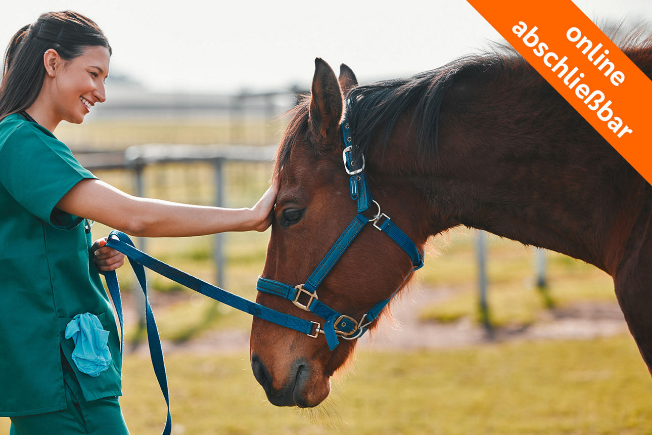 Tierärztin streichelt ein Pferd