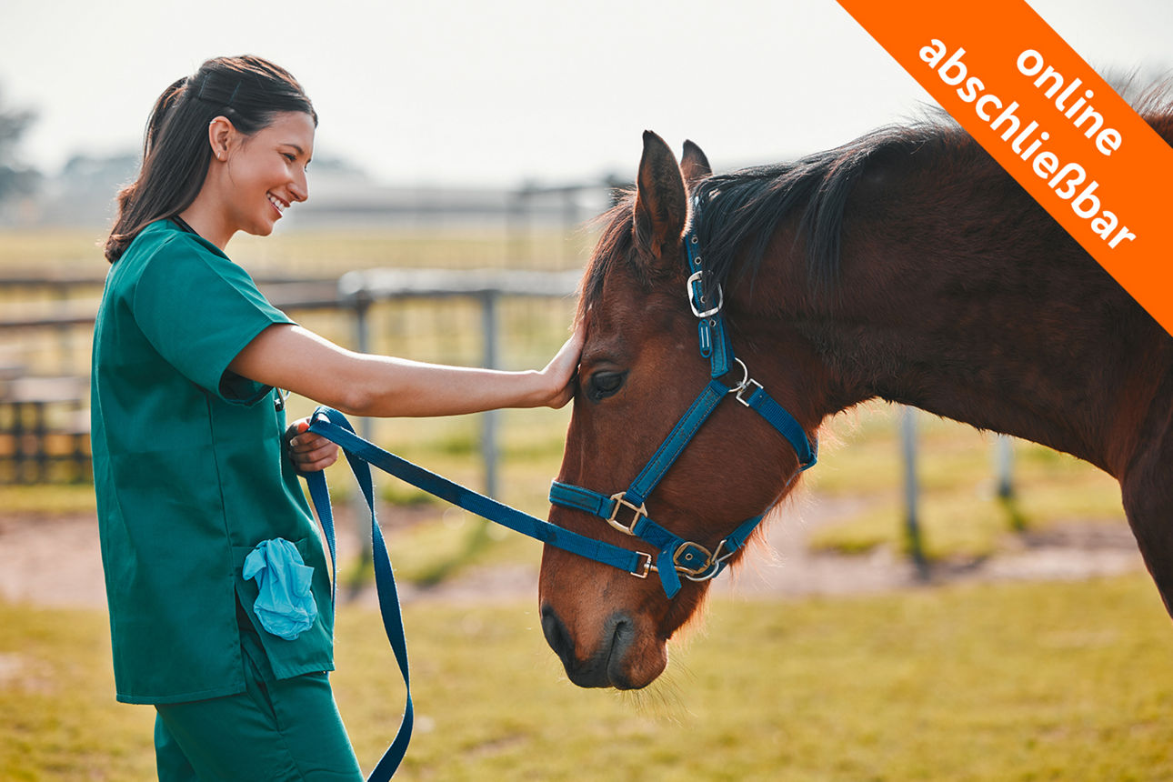 Tierärztin streichelt ein Pferd