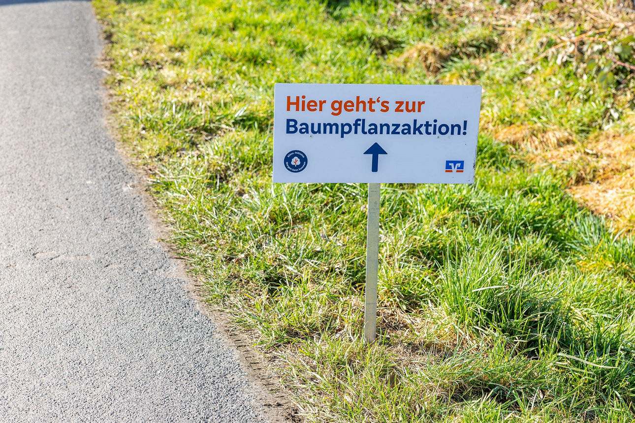 Schild "Hier geht's zur Baumpflanzaktion"
