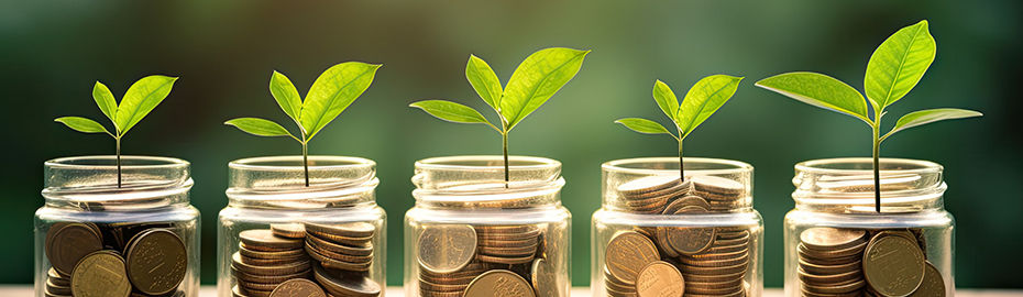 plant growing out of coins in glass jar with filter effect retro vintage style. Investment concept