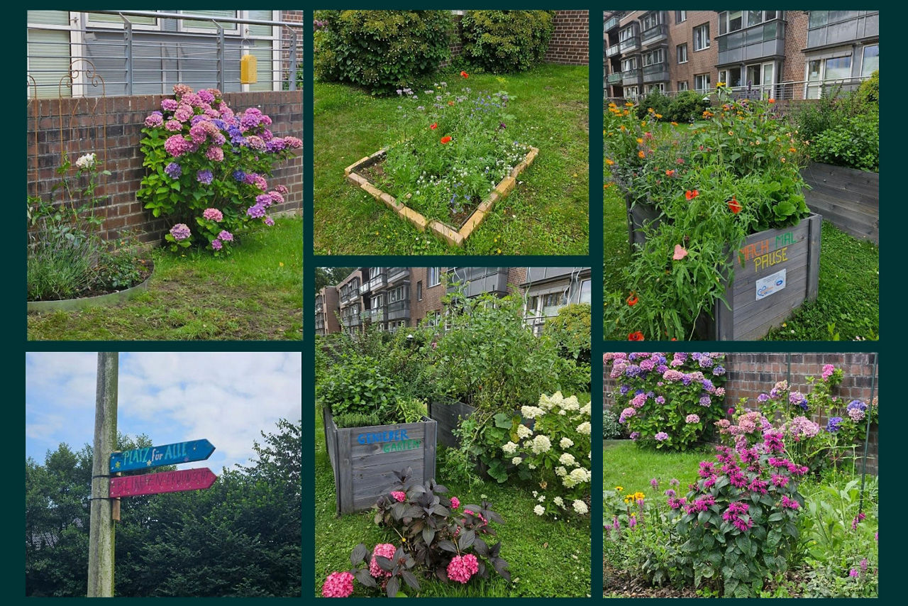 Callage des Gartenprojekt PiA im Regio Klinikum Pinneberg