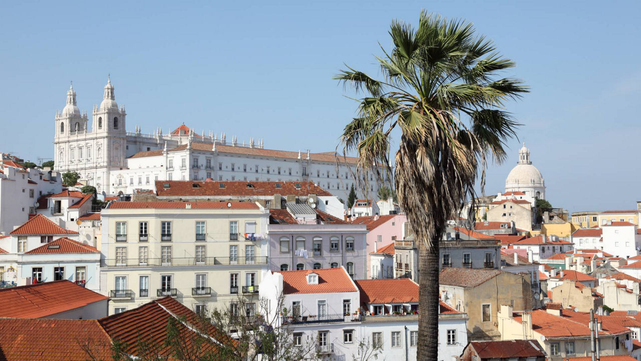 Ansicht des Castelo de Sao Jorge, im Vordergrund eine Palme