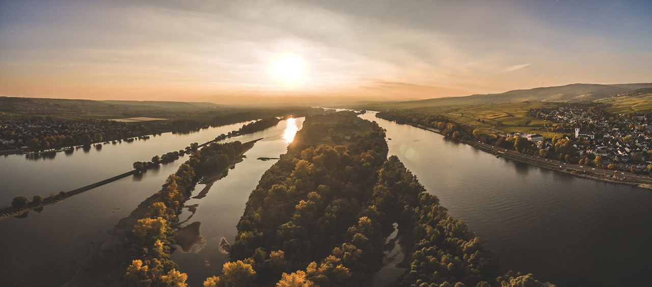 Luftaufnahme des Rheins bei Erbach mit einer bewaldeten Insel in der Mitte bei Sonnenuntergang, umgeben von Weinbergen