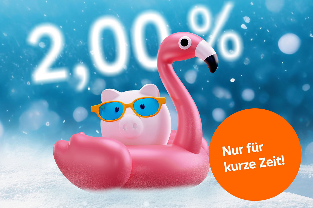 Schriftzug "Nur für kurze Zeit: 2,00 %" und ein Sparschwein mit Flamingo auf schneebedeckter Fläche.