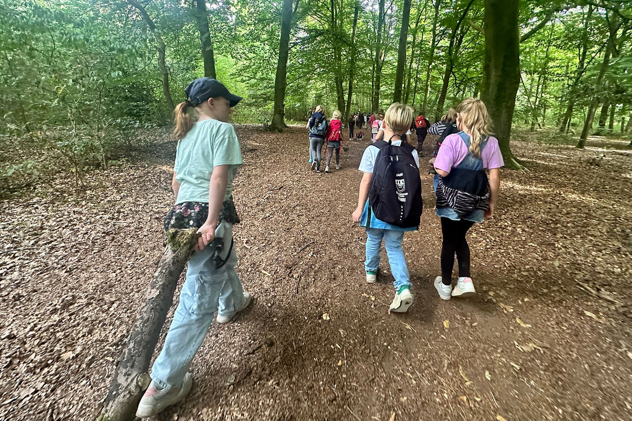 Kinder laufen auf dem Waldweg.