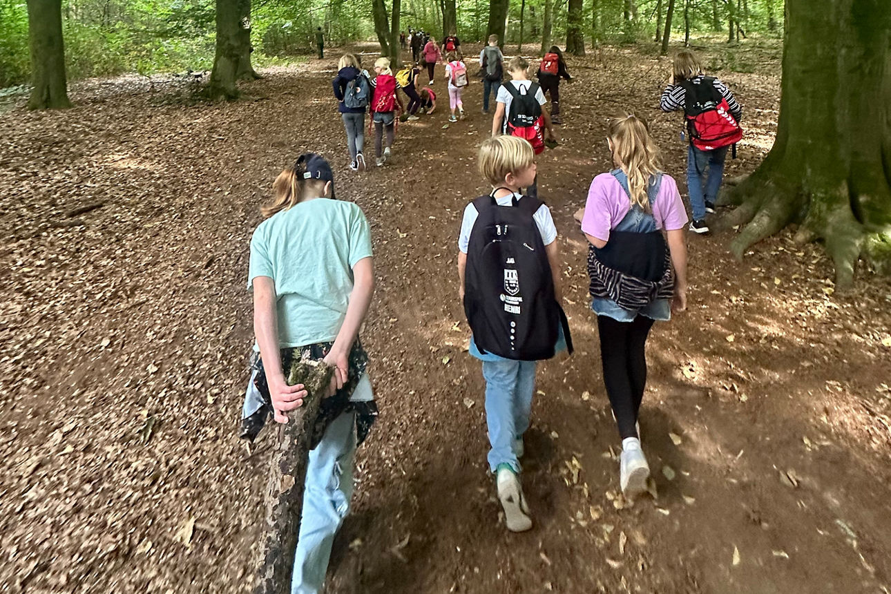 Kinder wandern durch den Wald.