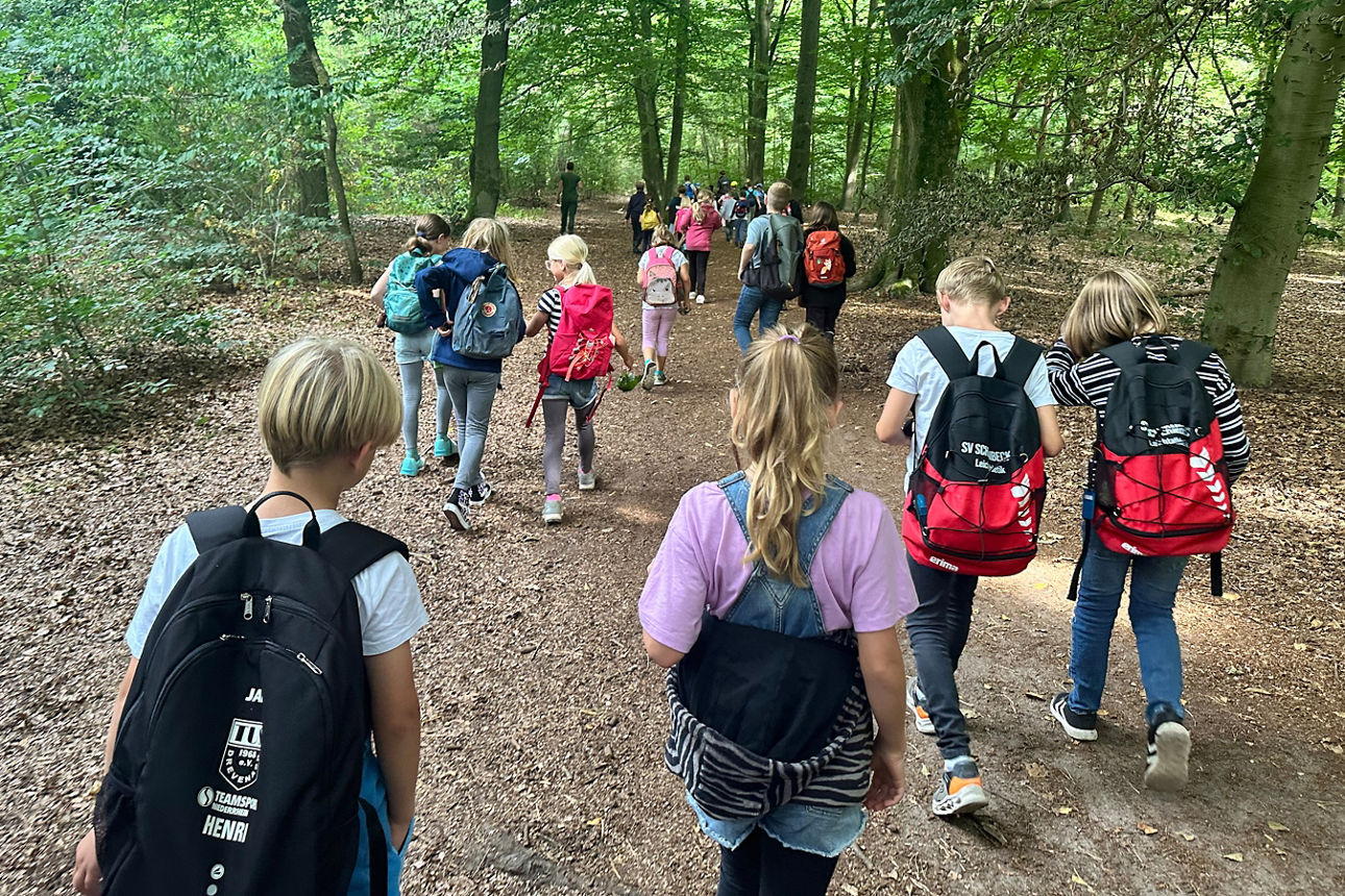 Kinder wandern durch den Wald.