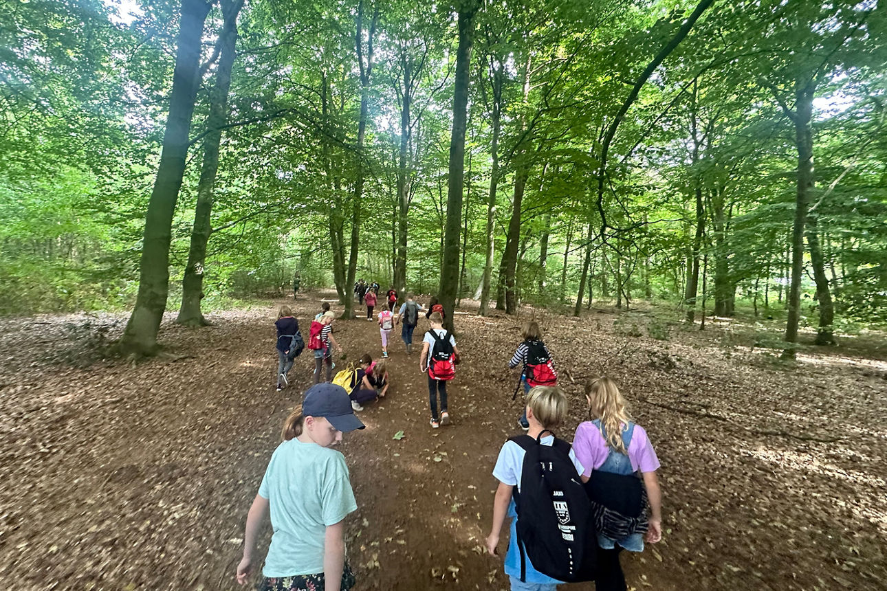 Kinder spazieren im Volksbankwald.