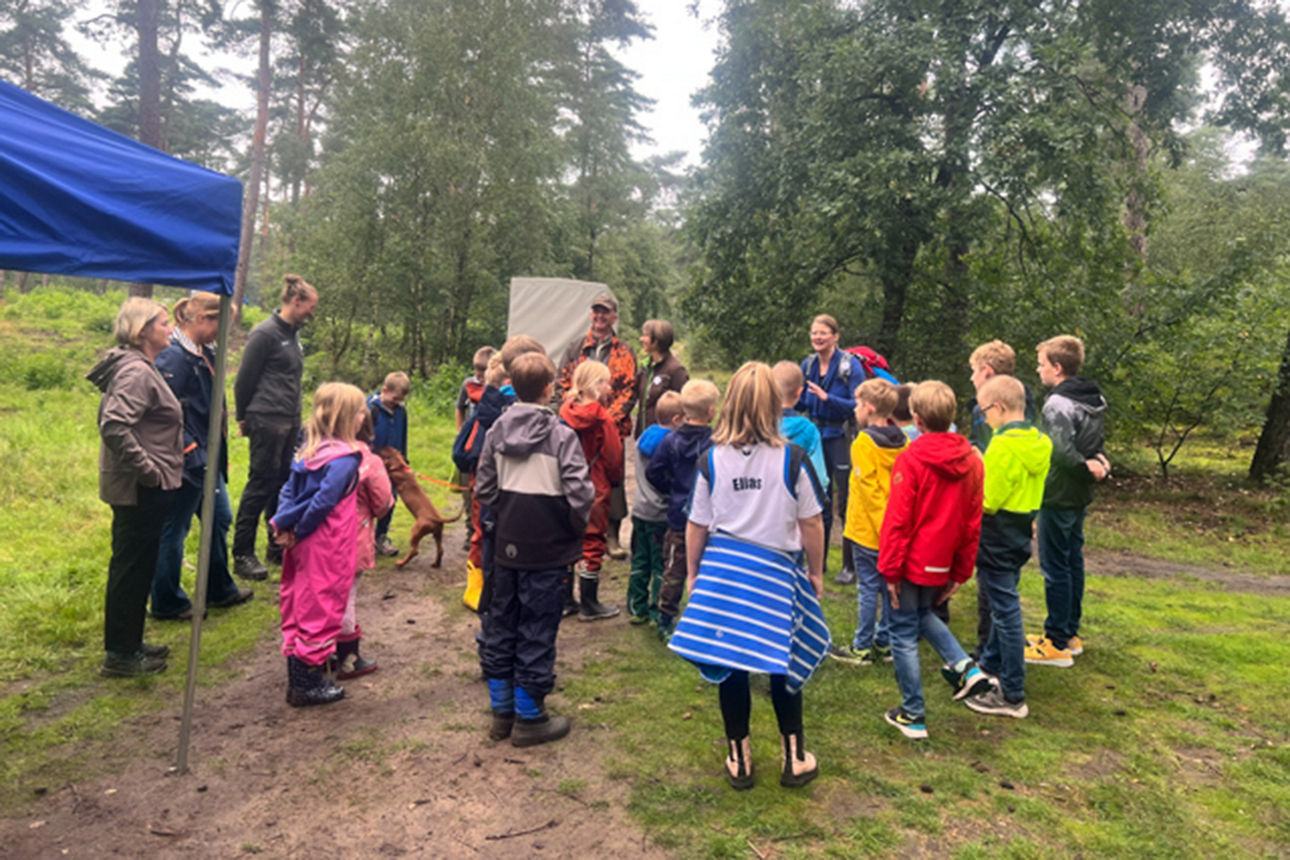 Große Gruppe Kinder im Wald.