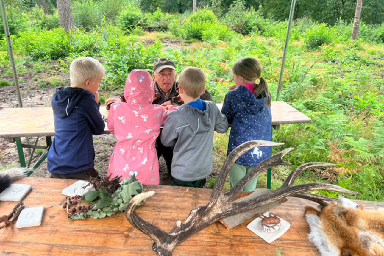 Kinder im Wald bekommen etwas erklärt.