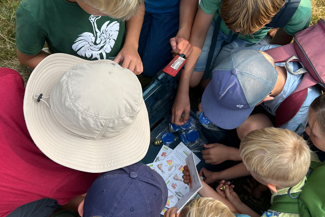 Kinder packen Schatztrue aus. 