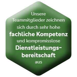 Grafische Darstellung der Visionen