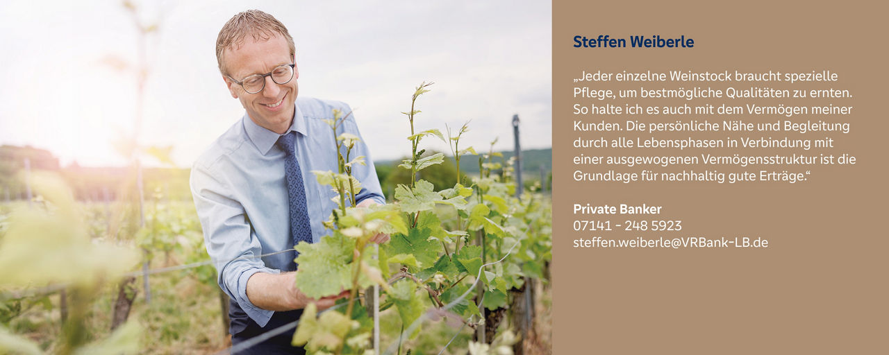 Steffen Weiberle begutachtet Reben im Weinberg – symbolisiert nachhaltige, persönliche Pflege in der Finanzberatung.