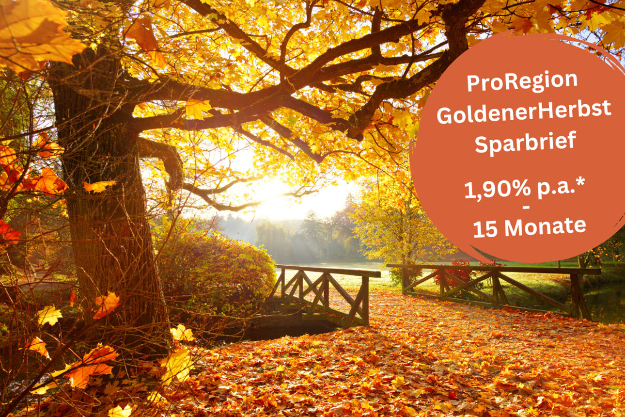 Bild einer Herbstlandschaft im Sonnenschein