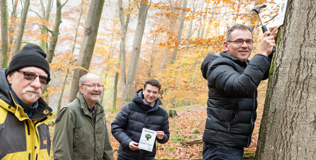 Vier Männder, einer bringt die Wertplakette an einem Baum an