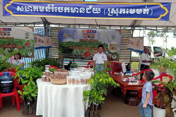 Verkaufsstand Cashew