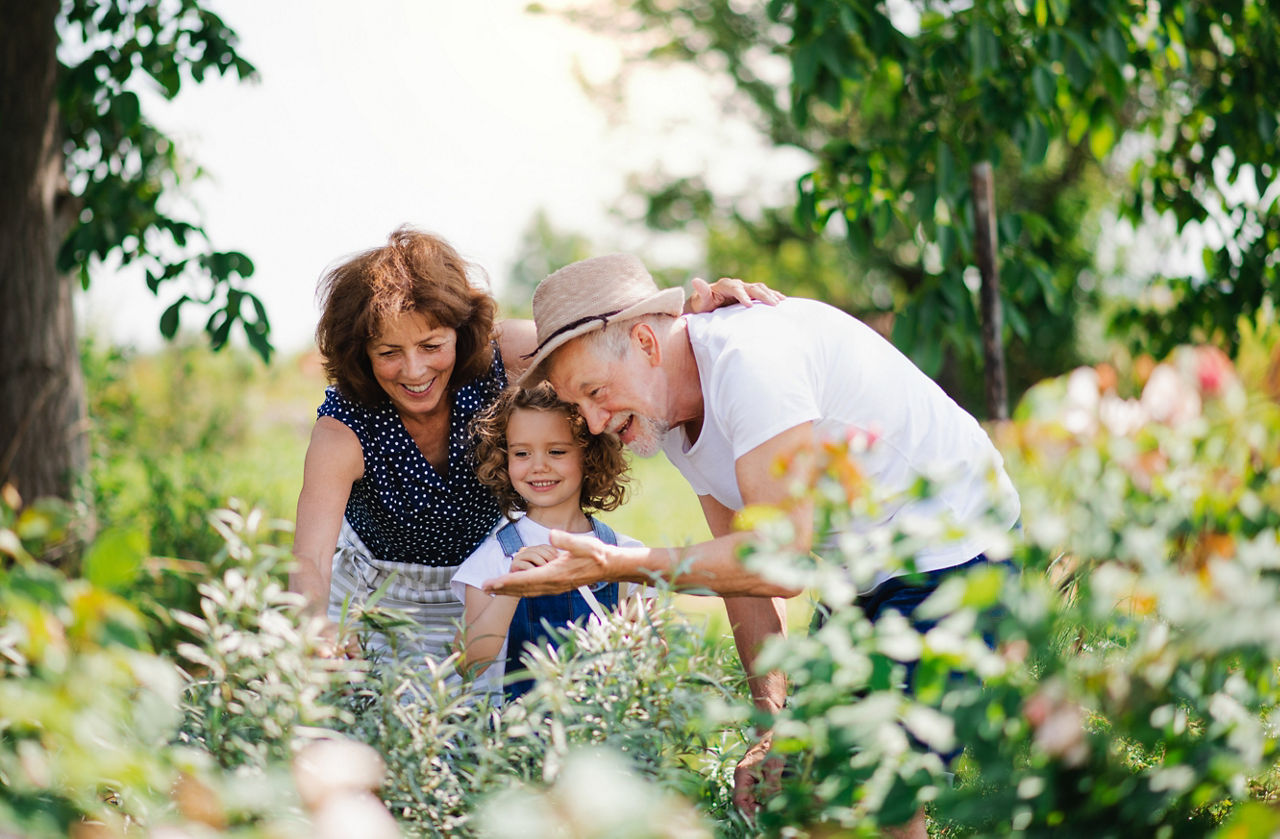 Großeltern zeigen ihrem Enkelkind freudig den Garten