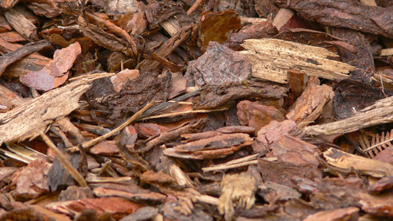 Rindenmulch