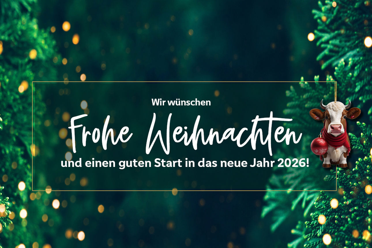 KeyVisual Weihnachten