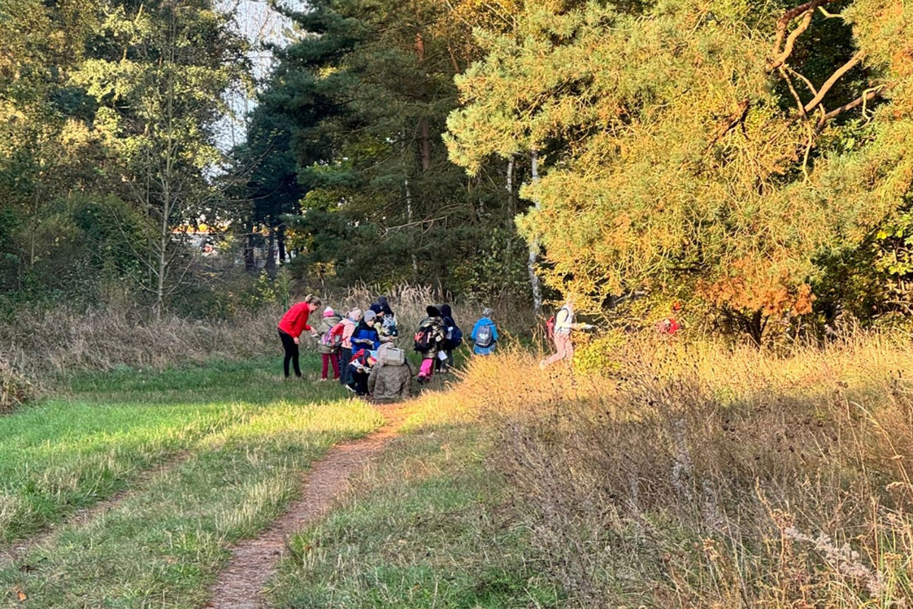 Schulklasse auf einem Waldweg