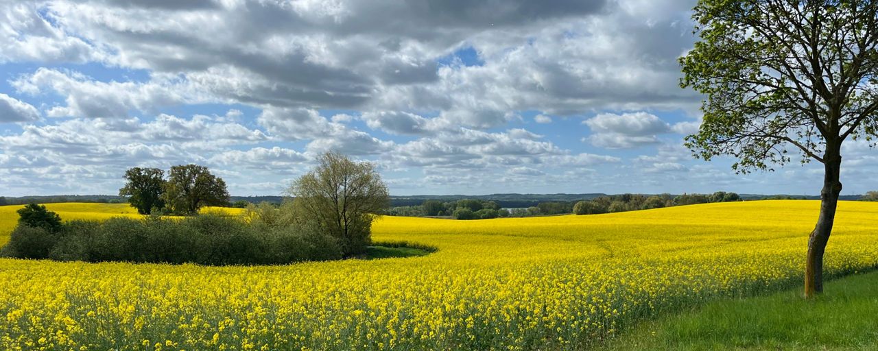 Landschaft unserer Region
