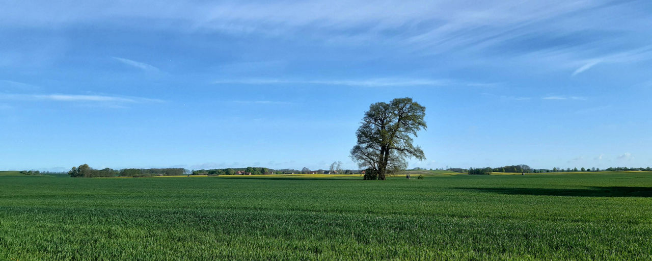 Landschaft unserer Region