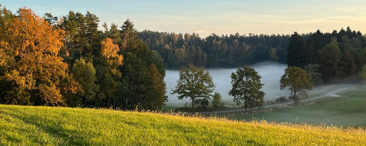 Landschaft unserer Region