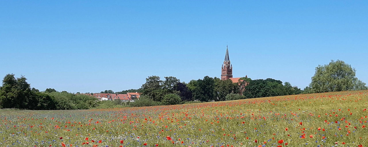 Landschaft unserer Region