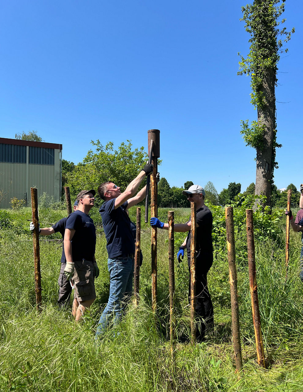 Mehrere Personen arbeiten auf einer Wiese. Sie setzen Holzpfosten in den Boden. Bäume stehen im Hintergrund
