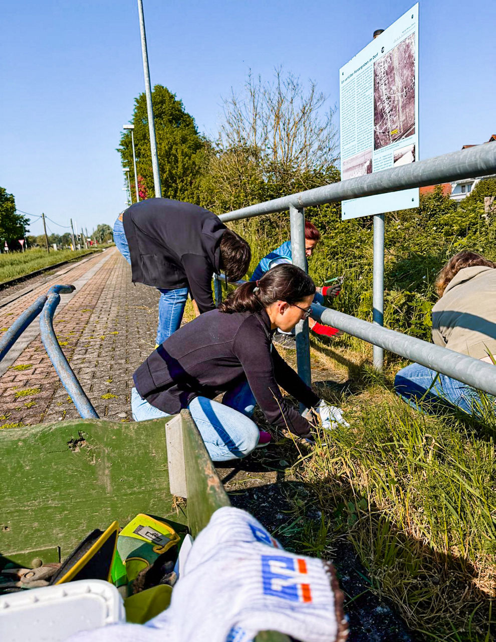 Mehrere Personen knien am Wegrand neben einem Geländer und entfernen Gras und Pflanzen mit Werkzeug.