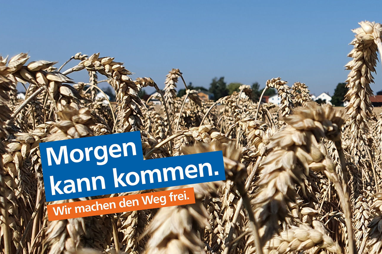 Ein Bild von einem Weizenfeld, mit der Aufschrift "Morgen kann kommen"