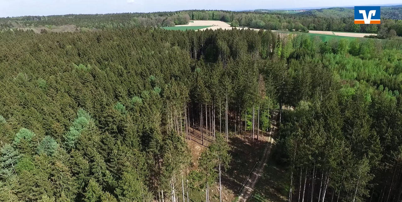 Raiffeisenwald Eichstätt