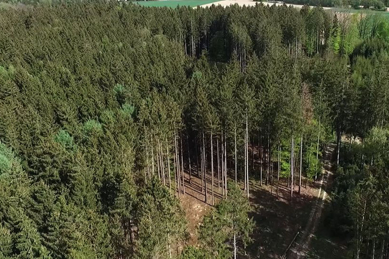 Luftaufnahme des Raiffeisenwaldes bei Eichstätt