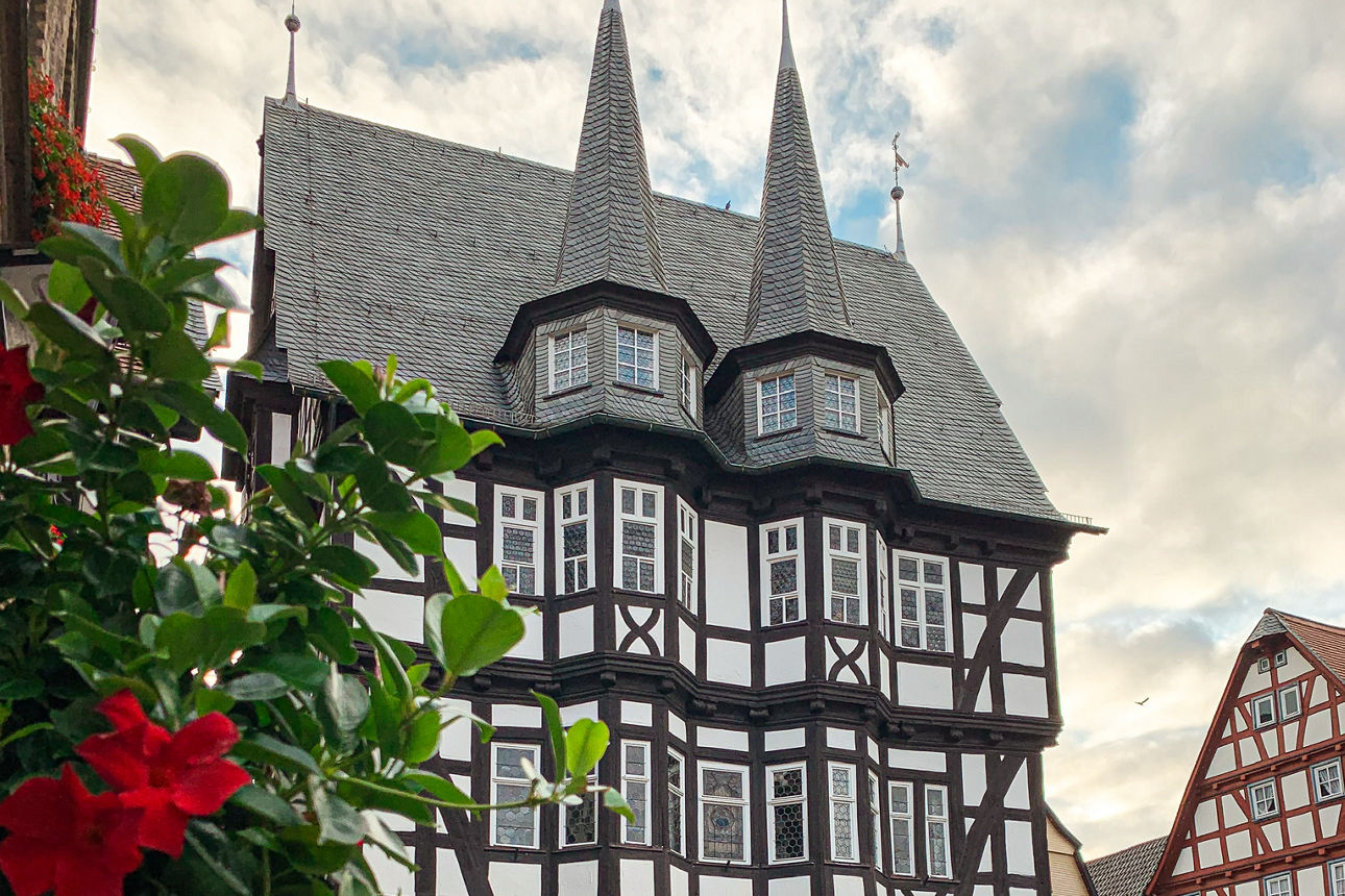 Alsfelder Rathaus und Blumenbusch