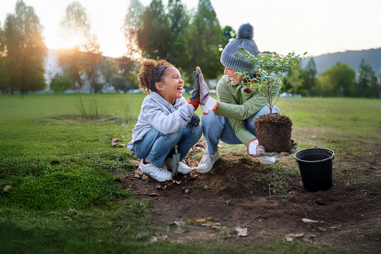 Mutter pflanzt mit ihrer Tochter einen Baum