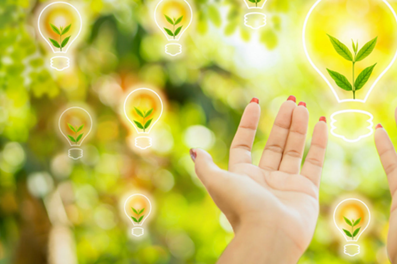 Regionale Verantwortung