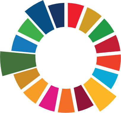 17 SDGs