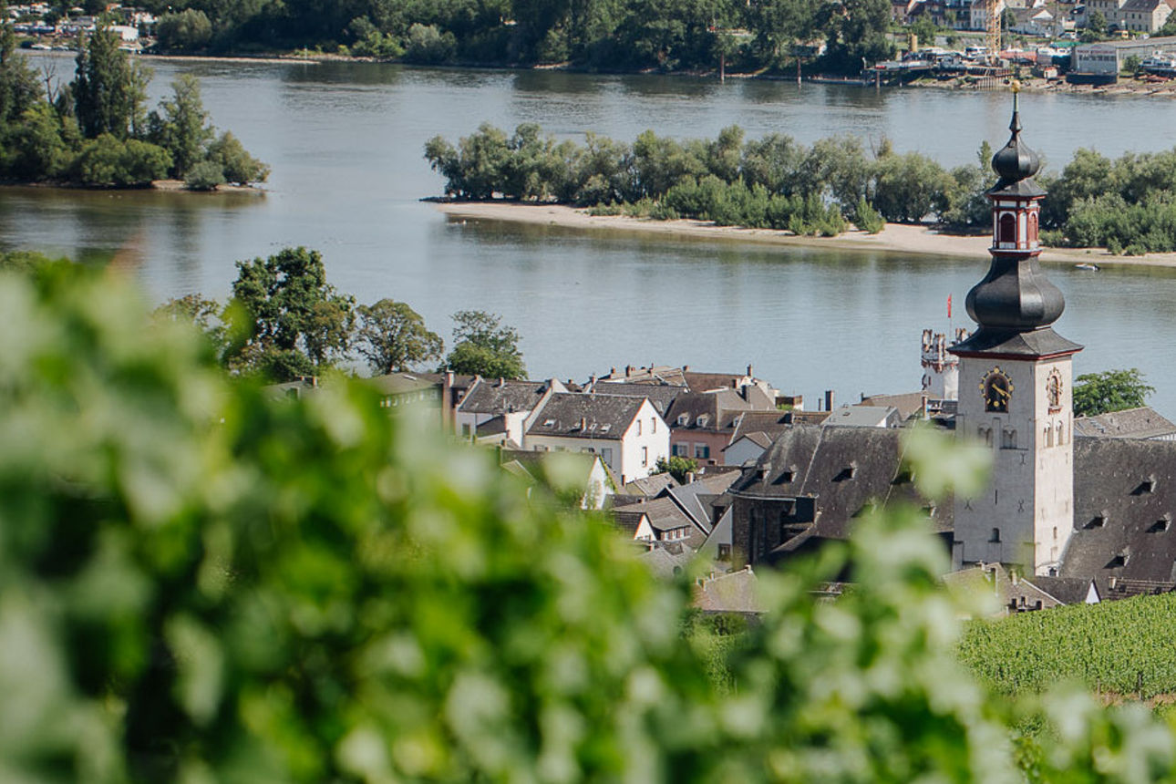 Blick in den Rheingau