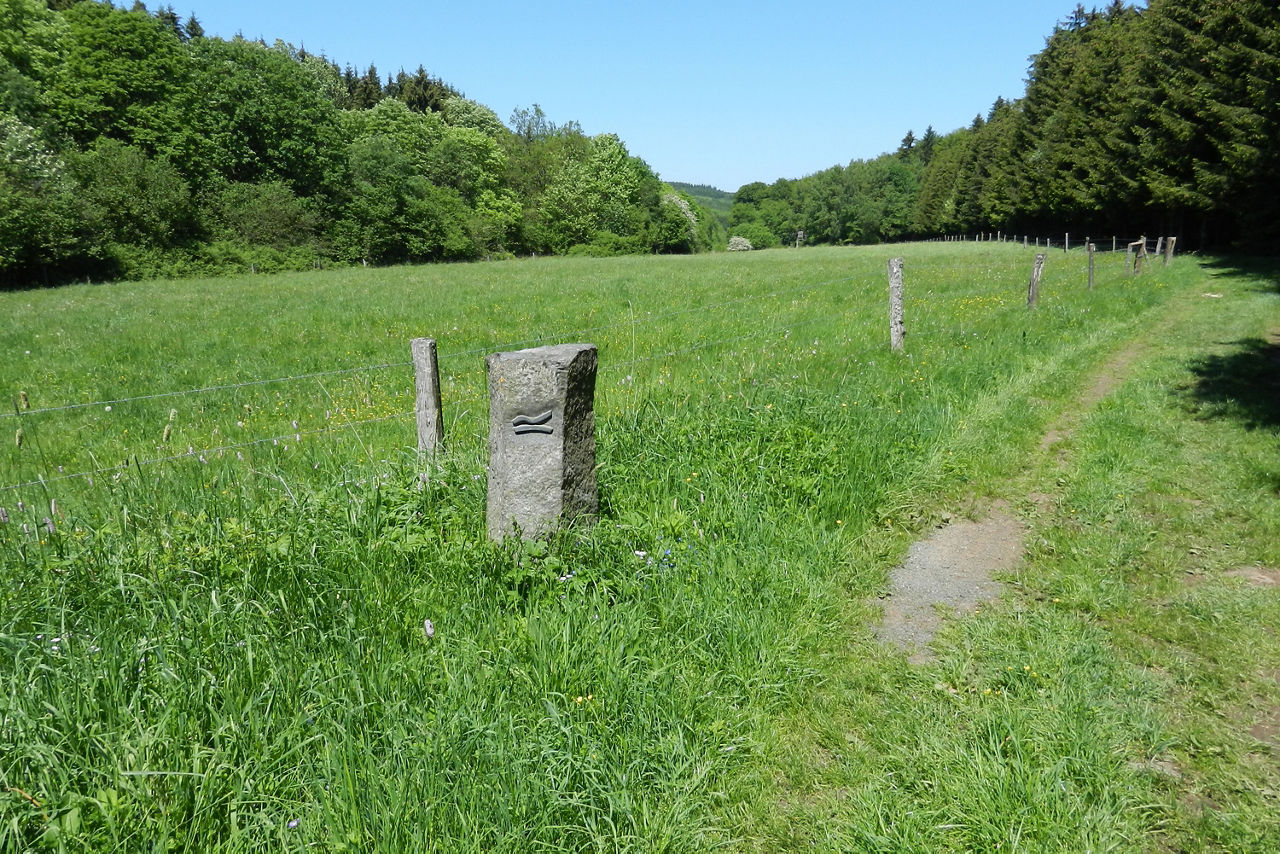 Ein Naturweg führt an einer weiten grünen Wiese entlang, gesäumt von Bäumen und einem Zaun. Ein Stein mit einer Wegmarkierung zeigt, dass es sich um einen Abschnitt des Rothaarsteigs handelt.