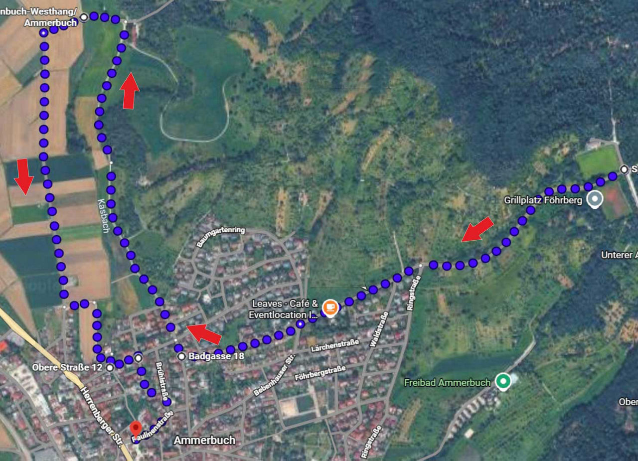 Satellitenkarte von Ammerbuch mit einer blau punktierten Routenführung und roten Richtungspfeilen durch das Ortsgebiet und di