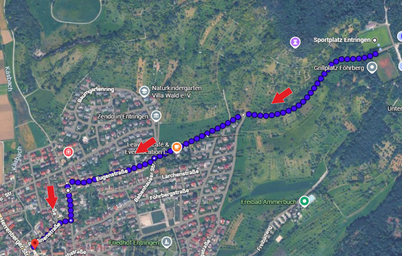 Satellitenkarte von Ammerbuch mit einer blau punktierten Routenführung und roten Richtungspfeilen durch das Ortsgebiet und di