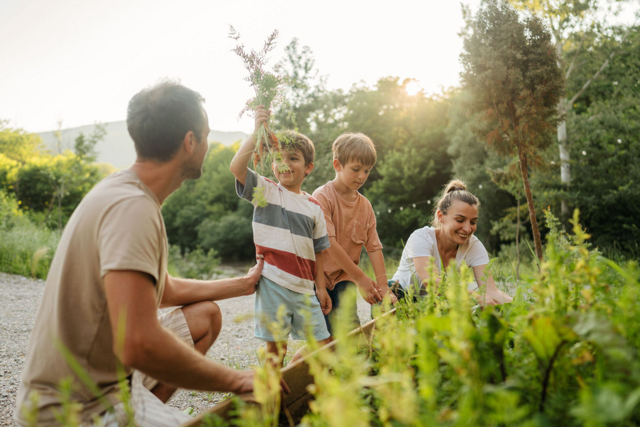 Familie arbeitet an einem Kräterbeet im Garten