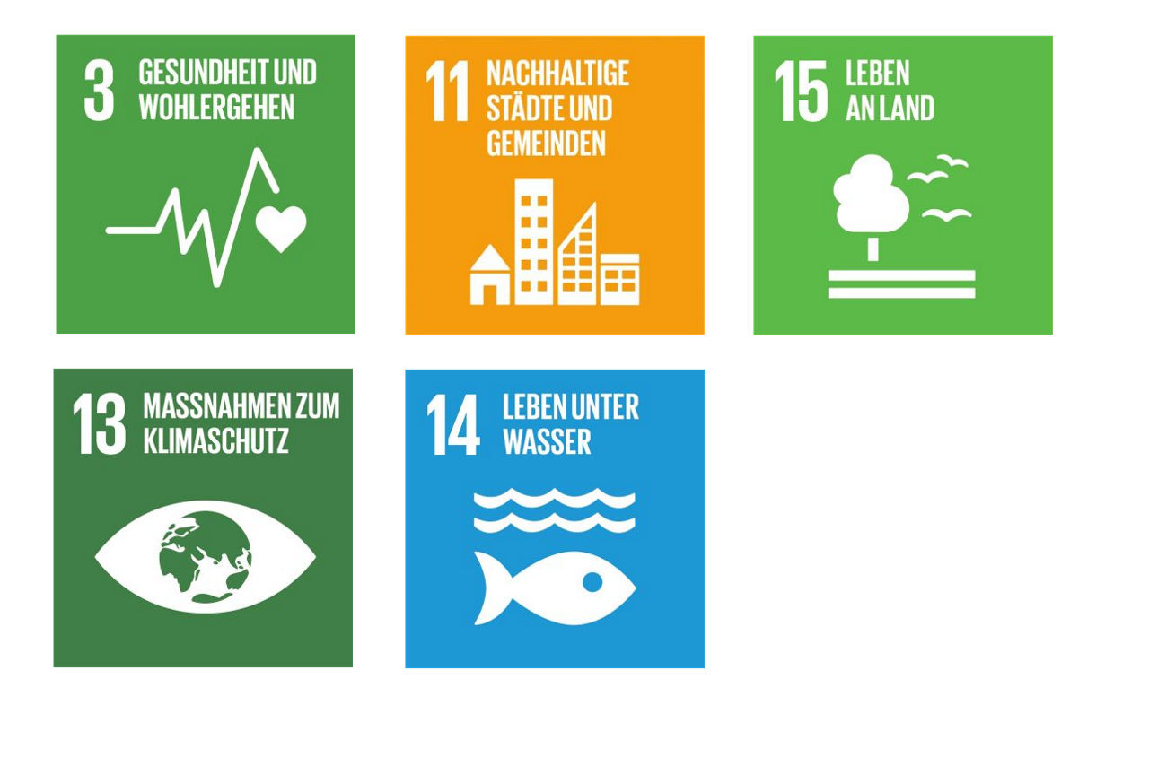 Icons der SDG's 3, 11, 13, 14 und 15