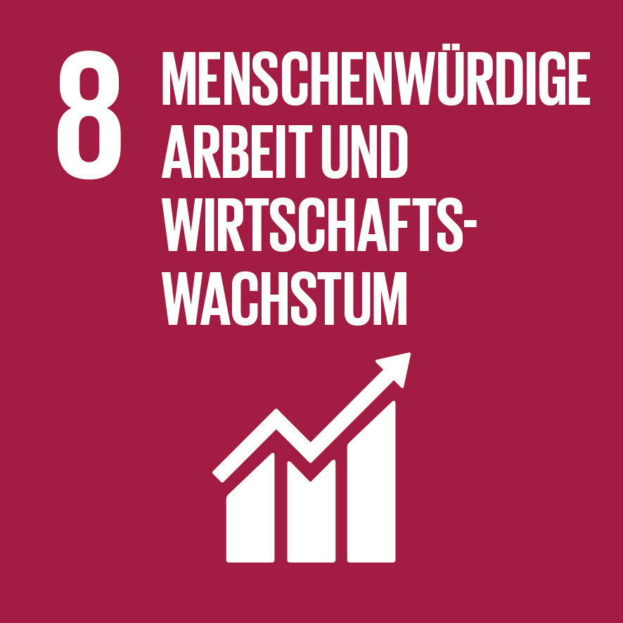Logo SDG 8 - Menschenwürdige Arbeit und Wirtschaftswachstum