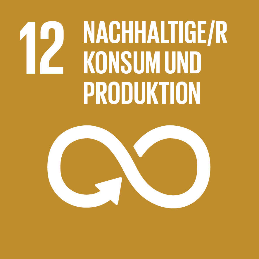 Logo SDG 12 - Nachhaltiger Konsum und Produktion
