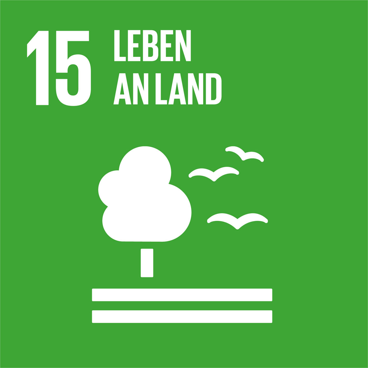 Grünes SDG-Symbol mit Zahl 15 und Text „Leben an Land“. Weißer Baum und Vögel symbolisieren Schutz von Natur, Böden und Artenvielfalt.