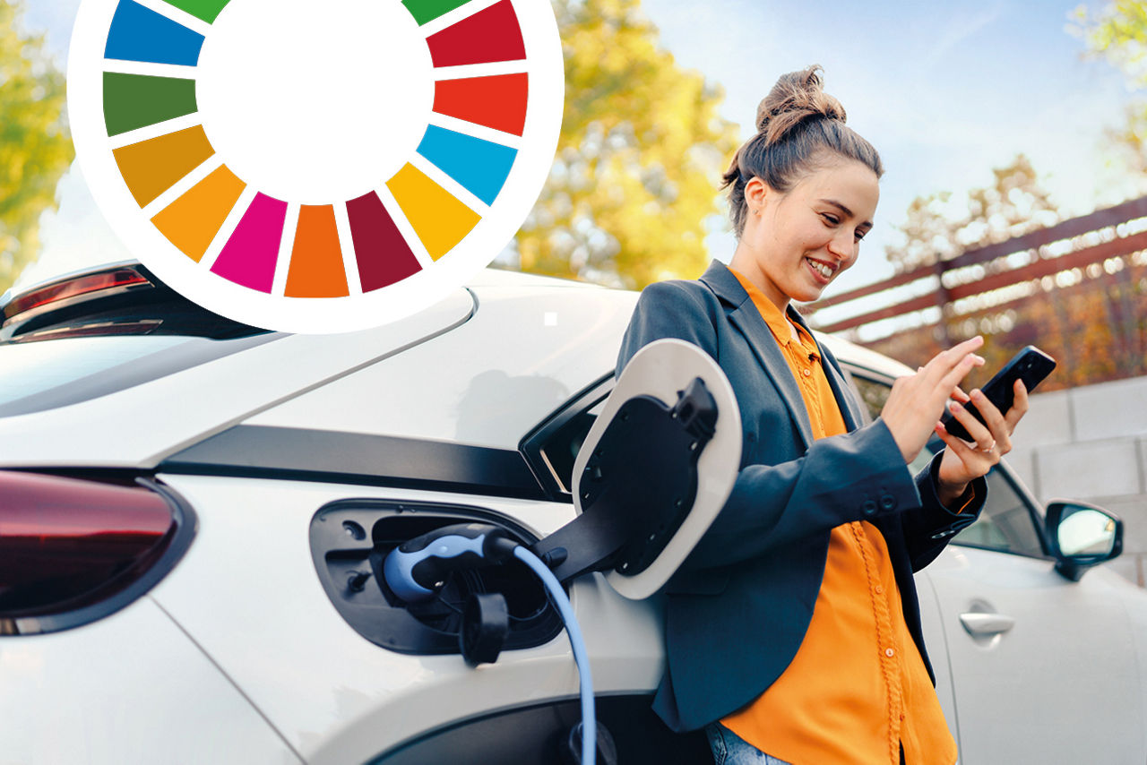 Grafische Darstellung der wichtigsten SDGs
