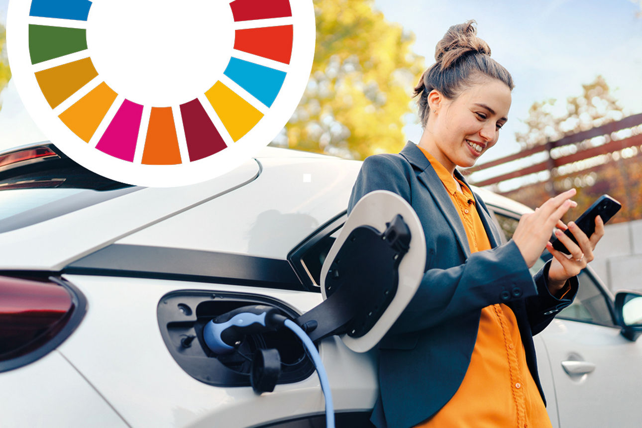 Grafische Darstellung der wichtigsten SDGs